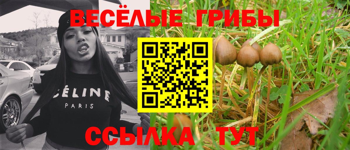 Усолье-Сибирское  Галлюциногенные грибы мухоморы  Псилоцибиновые грибы мухоморы  Вход с VPN 